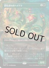 画像: 【JPN/FDN-BF/FOIL★】苔生まれのハイドラ/Mossborn Hydra  [緑] 『R』【ボーダーレス】
