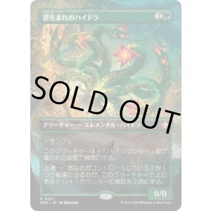 画像: 【JPN/FDN-BF/FOIL★】苔生まれのハイドラ/Mossborn Hydra  [緑] 『R』【ボーダーレス】