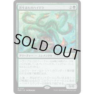 画像: 【JPN/FDN】苔生まれのハイドラ/Mossborn Hydra  [緑] 『R』