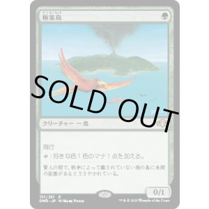 画像: 【JPN/DMR】極楽鳥/Birds of Paradise