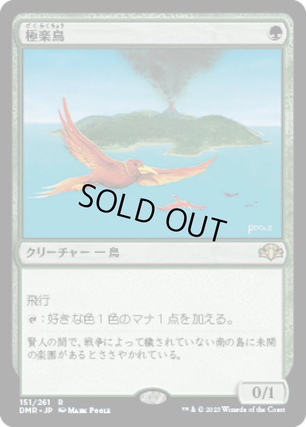 画像1: 【JPN/DMR】極楽鳥/Birds of Paradise