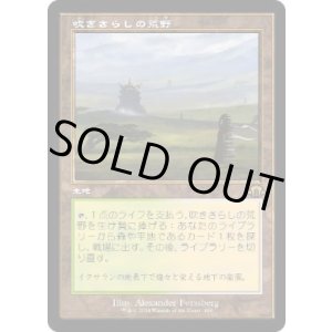 画像: 【JPN/MH3-BF】吹きさらしの荒野/Windswept Heath【旧枠】