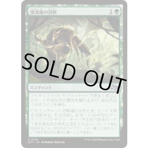 画像: 【JPN/DFT/FOIL★】浚渫機の洞察/Dredger's Insight [緑] 『U』
