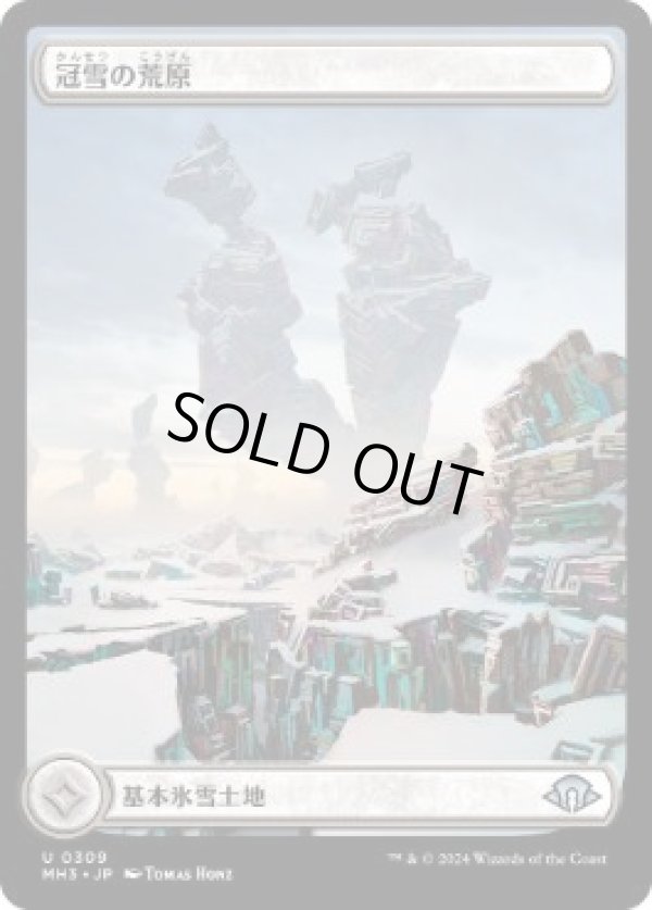 画像1: 【JPN/MH3-BF/FOIL★】冠雪の荒地/Snow-Covered Wastes【フルアート】