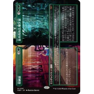 画像: 【JPN/DSK-BF】収納室+忘れられた地下室/Walk-In Closet+Forgotten Cellar  [緑] 『M』【ボーダーレス】