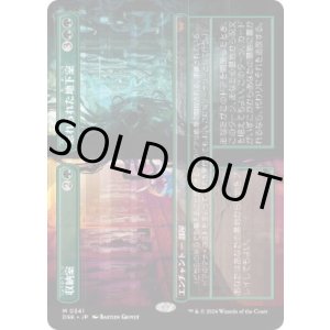画像: 【JPN/DSK-BF/FOIL★】収納室+忘れられた地下室/Walk-In Closet+Forgotten Cellar  [緑] 『M』【ボーダーレス】