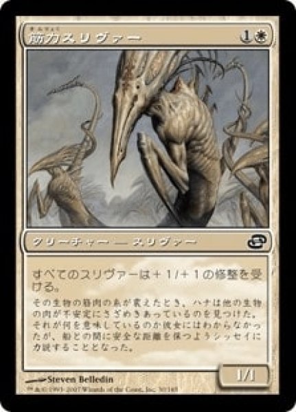 画像1: 【JPN/PLC】筋力スリヴァー/Sinew Sliver (1)