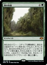 画像: 【JPN/DMR】森の知恵/Sylvan Library