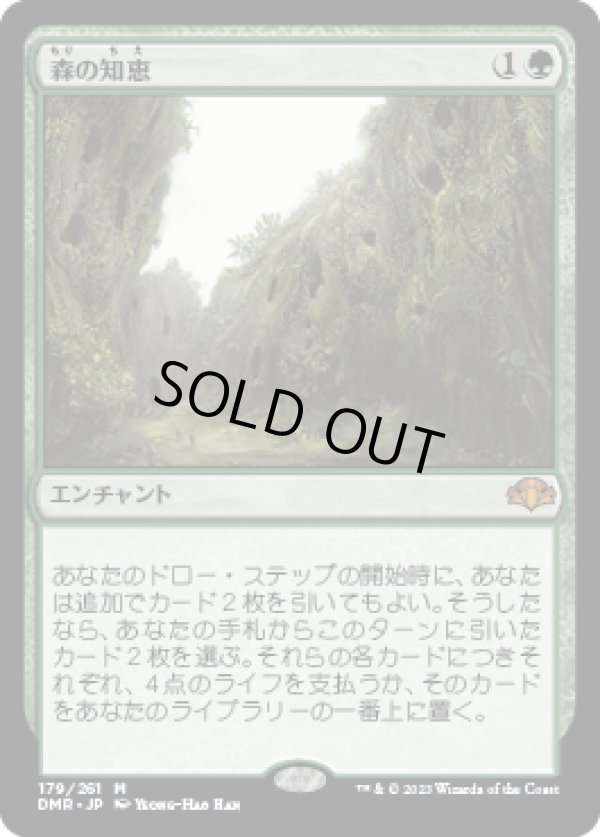 画像1: 【JPN/DMR】森の知恵/Sylvan Library