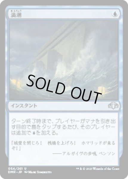 画像1: 【JPN/DMR】満潮/High Tide (1)