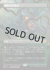 画像: 【JPN/SPG】新緑の地下墓地/Verdant Catacombs [土地] 『M』