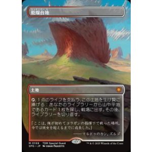 画像: 【JPN/SPG】乾燥台地/Arid Mesa [土地] 『M』