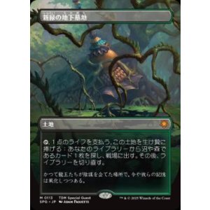 画像: 【JPN/SPG/FOIL★】新緑の地下墓地/Verdant Catacombs [土地] 『M』