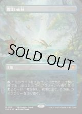 画像: 【JPN/SPG/ドラゴンスケイル・FOIL★】霧深い雨林/Misty Rainforest [土地] 『M』