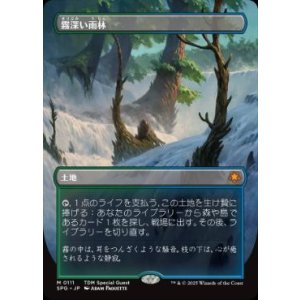 画像: 【JPN/SPG】霧深い雨林/Misty Rainforest [土地] 『M』