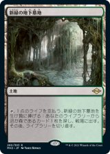 画像: 【JPN/MH2/FOIL★】新緑の地下墓地/Verdant Catacombs