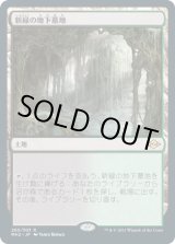 画像: 【JPN/MH2/FOIL★】新緑の地下墓地/Verdant Catacombs