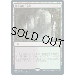 画像: 【JPN/MH2/FOIL★】新緑の地下墓地/Verdant Catacombs