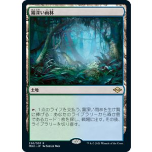 画像: 【JPN/MH2/FOIL★】霧深い雨林/Misty Rainforest