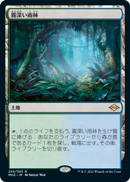 画像1: 【JPN/MH2/FOIL★】霧深い雨林/Misty Rainforest (1)