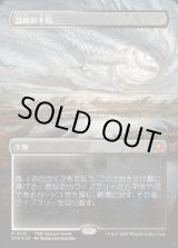 画像: 【JPN/SPG/ドラゴンスケイル・FOIL★】湿地の干潟/Marsh Flats [土地] 『M』【ボーダーレス】