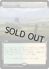 画像: 【JPN/MH3-BF】吹きさらしの荒野/Windswept Heath【拡張アート】