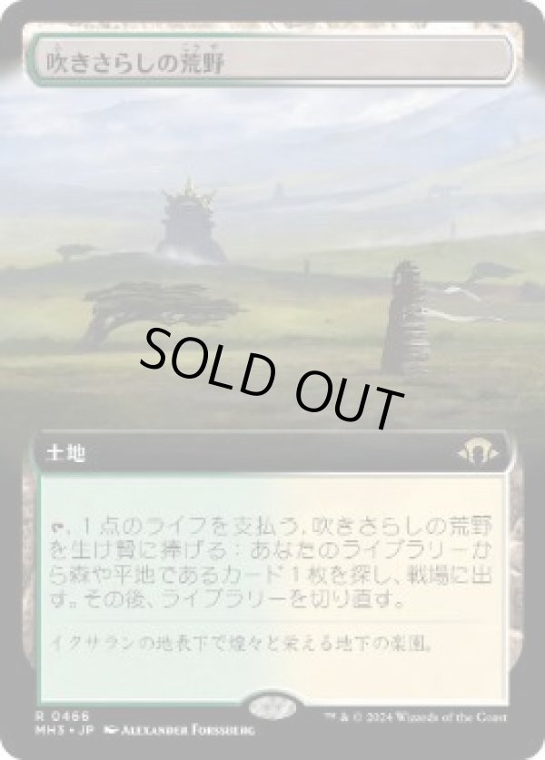 画像1: 【JPN/MH3-BF】吹きさらしの荒野/Windswept Heath【拡張アート】