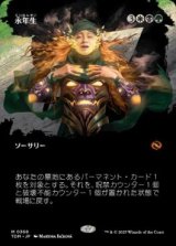 画像: 【JPN/TDM-BF】永年生/Perennation [マルチ] 『M』【ボーダーレス】