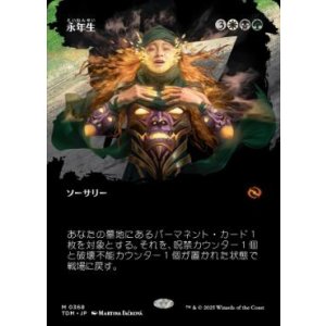 画像: 【JPN/TDM-BF】永年生/Perennation [マルチ] 『M』【ボーダーレス】