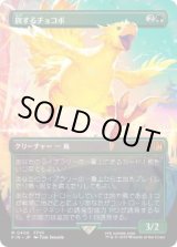 画像: 【JPN/FIN-BF】旅するチョコボ/Traveling Chocobo [緑] 『M』【ボーダーレス】