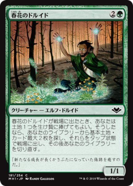 画像1: 【JPN/MH1】春花のドルイド/Springbloom Druid 『C』 [緑] (1)