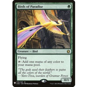 画像: 【ENG/MB1】極楽鳥/Birds of Paradise