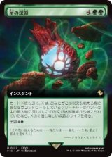 画像: 【JPN/FIC/FOIL★】星の深淵/Lifestream's Blessing【拡張アート】