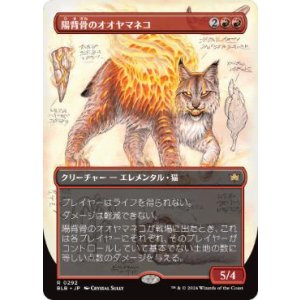 画像: 【JPN/BLB】陽背骨のオオヤマネコ/Sunspine Lynx  [赤] 『R』【ボーダーレス】