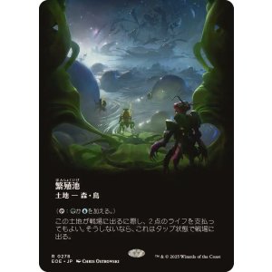 画像: 【JPN/EOE-BF】繁殖池/Breeding Pool [土地] 『R』【ボーダーレス】