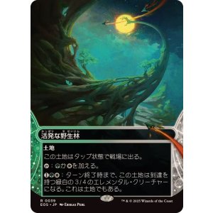 画像: 【JPN/EOS】活発な野生林/Stirring Wildwood