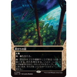 画像: 【JPN/EOS】群がりの庭/Swarmyard