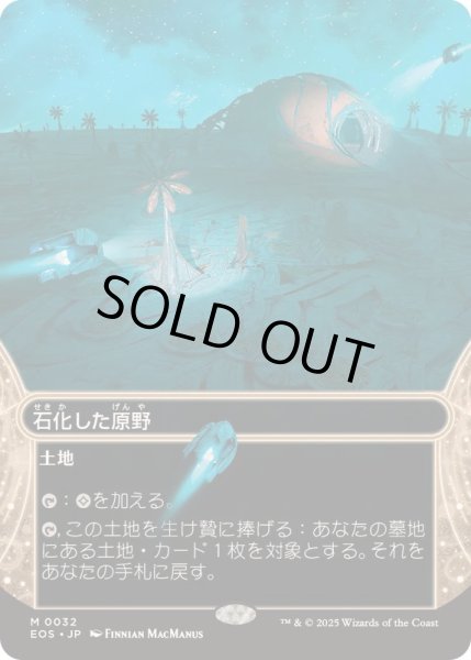 画像1: 【JPN/EOS】石化した原野/Petrified Field (1)