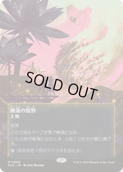 画像1: 【JPN/EOS】睡蓮の原野/Lotus Field【068】   (1)