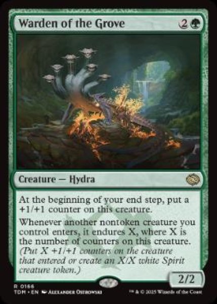 画像1: 【ENG/TDM/FOIL★】木立の守部/Warden of the Grove [緑] 『R』 (1)