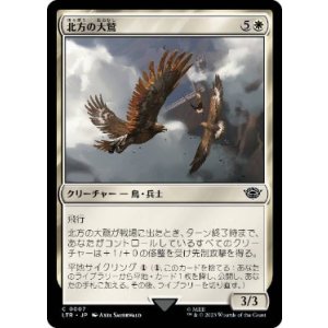 画像: 【JPN/LTR】北方の大鷲/Eagles of the North