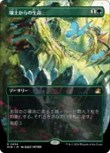 画像: 【JPN/RVR】壌土からの生命/Life from the Loam【ボーダーレス】
