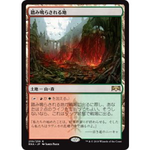画像: 【JPN/RNA/FOIL★】踏み鳴らされる地/Stomping Ground 『R』 [土地]【プロモパック】