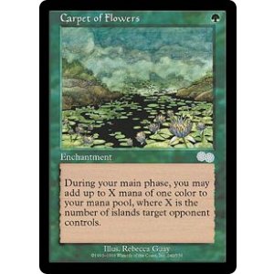 画像: 【ENG/USG】花の絨毯/Carpet of Flowers