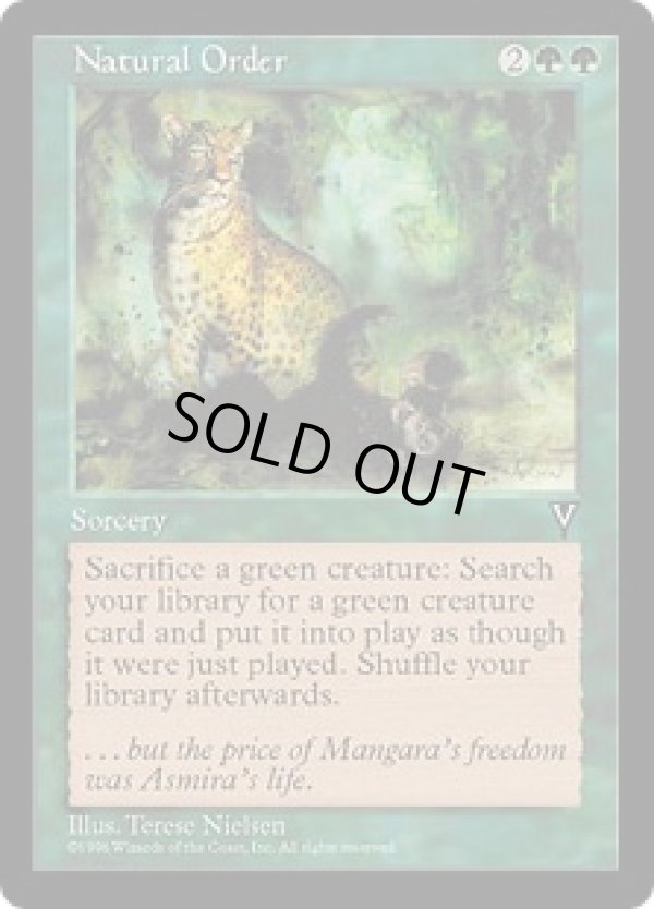 画像1: 【ENG/VIS】自然の秩序/Natural Order