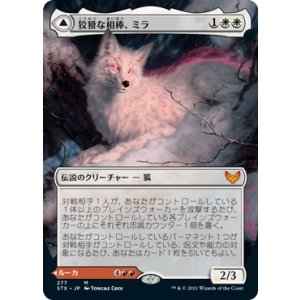 画像: 【JPN/STX-BF】狡猾な相棒、ミラ/Mila, Crafty Companion 『M』 [白]【ボーダーレス】