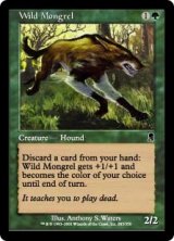 画像: 【ENG/ODY】野生の雑種犬/Wild Mongrel