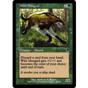 画像: 【ENG/ODY】野生の雑種犬/Wild Mongrel