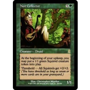 画像: 【JPN/ODY】木の実拾い/Nut Collector