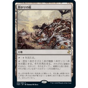 画像: 【JPN/TSR】群がりの庭/Swarmyard 『R』 [土地]
